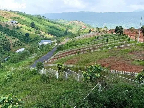 Đất nền phân lô “chôn vốn” 4 năm: Cắt lỗ 30–50% vẫn không bán được