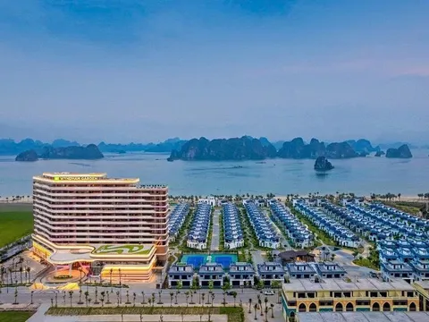 CEO Group: Mở thêm công ty BĐS khi lãi 147 tỷ nhưng dòng tiền kinh doanh âm 1.650 tỷ, nợ vay gấp 3,2 lần đầu năm