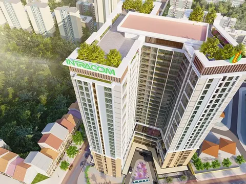 Intracom của Shark Việt bị “điểm tên” vì chậm đóng bảo hiểm hơn 1,4 tỷ đồng