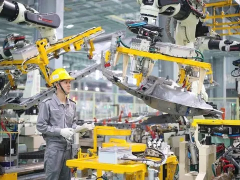 Tập đoàn THACO của ông Trần Bá Dương bất ngờ giảm vốn điều lệ