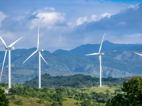 Năng lượng Hòa Thắng bị phạt, lộ bức tranh trái phiếu gắn với hệ sinh thái Vietracimex