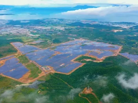 Doanh nghiệp trong hệ sinh thái KN Investment của đại gia Lê Văn Kiểm gánh hơn 1.270 tỷ nợ, lợi nhuận lao dốc gần 42%