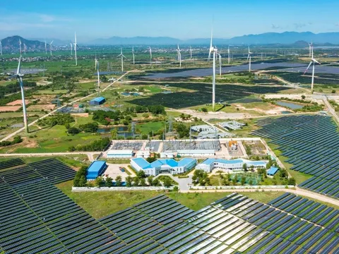 Loạt báo cáo trái phiếu, tài chính công bố chậm thông tin qua nhiều năm: Trung Nam Group bị phạt