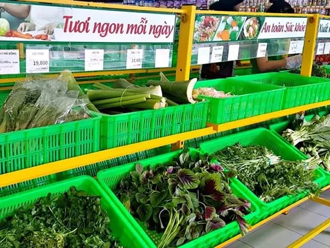 Đại gia bán lẻ Việt tuyển nhân sự bán rau lương tới 30 triệu đồng/tháng, đang mở rộng hàng nghìn cửa hàng