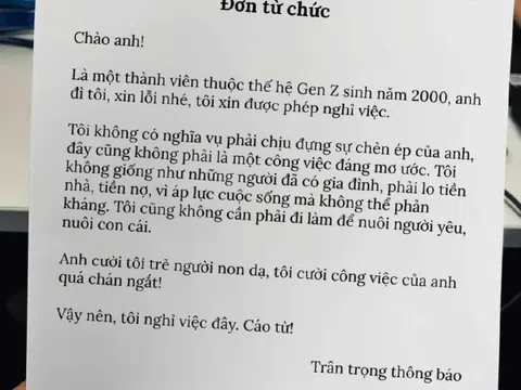 Đơn từ chức của Gen Z