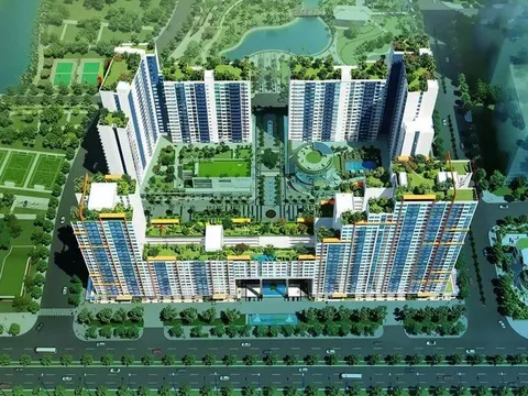Thuận Việt Holdings – Nợ thuế kỷ lục và loạt dự án lớn