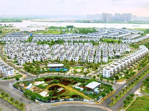 Em trai Chủ tịch Novaland nguy cơ bị hoãn xuất cảnh vì nợ thuế