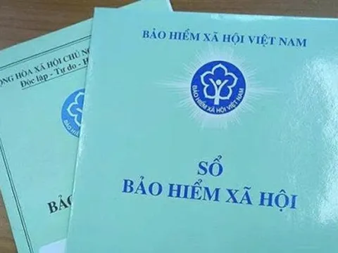 Doanh nghiệp mang tên CapitaLand chậm đóng bảo hiểm 28 tháng — Hé lộ “ông lớn” đứng sau