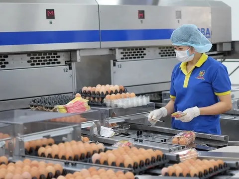 “Nữ hoàng trứng gà” Ba Huân bị cưỡng chế vì nợ thuế hơn 50 tỷ đồng