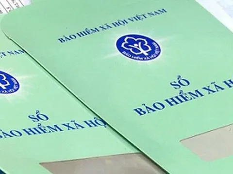 TP.HCM công bố danh sách gần 20.000 doanh nghiệp chậm đóng BHXH: Hòa Bình, Saigon Post Service, Hoàng Phúc Quốc Tế, Phong Phú Sắc Việt bị réo tên vì nợ tới hàng chục tỷ!