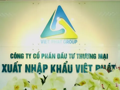 Việt Phát (VPG) liên tiếp bị cưỡng chế thuế, doanh thu quý II từ 4.370 tỷ “rơi” còn 386 triệu đồng
