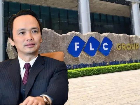 Hai doanh nghiệp liên quan hệ sinh thái FLC chậm đóng hơn 82 tỷ đồng bảo hiểm tại Gia Lai