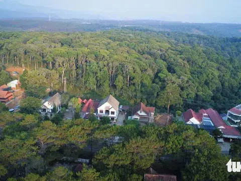 PGS.TS Nguyễn Thiện Tống: "Sân bay Măng Đen nên làm nhỏ, khai thác tàu bay cỡ nhỏ"