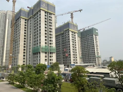 Phân khúc bất động sản nào tăng giá cao nhất thời gian qua?