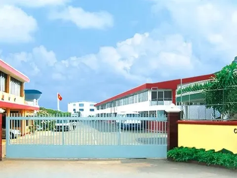 Pharmedic bị phạt vi phạm chất lượng thuốc: Doanh thu tăng nhưng tài sản “bốc hơi” mạnh, áp lực tài chính lộ rõ