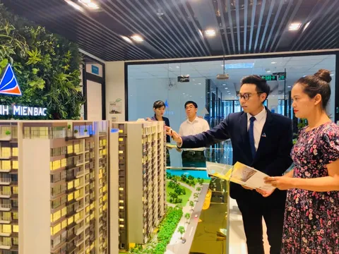 Loạt báo cáo gốc, lãi trái phiếu công bố không đúng hạn, Đất Xanh Miền Bắc bị Thanh tra Chứng khoán xử phạt