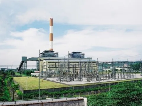 Nhiệt điện Ninh Bình bất ngờ báo lỗ quý 3, nhưng vẫn “sáng cửa” cả năm!