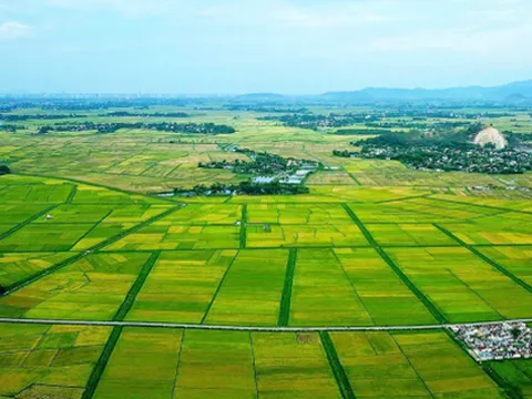 Phân quyền đất đai: Bước đi mới hướng tới chính quyền gần dân hơn