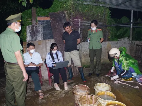 RÙNG MÌNH: Phát hiện gần 3 tấn thịt lợn dương tính với dịch tả lợn châu Phi ở Hà Nam!