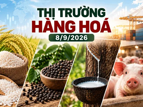 Gạo giảm nhẹ, hồ tiêu “đứng giá”, cao su bứt phá trên các sàn châu á