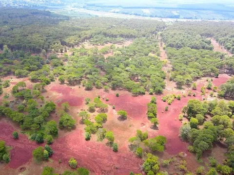 Sân golf Đak Đoa 155ha rừng thông ở Gia Lai đổi nhà đầu tư: FLC âm thầm trở lại?