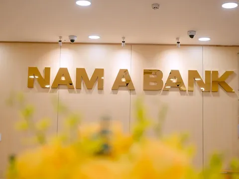 Nam A Bank Đắk Lắk bị Thanh tra yêu cầu chấn chỉnh công tác thẩm định, phê duyệt cho vay