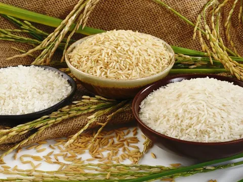 Cước vận tải “leo thang”, gạo & ngũ cốc toàn cầu chịu áp lực, xuất khẩu chững lại