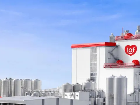 Lãi tăng sốc nhưng nợ vẫn cao: Bức tranh trái chiều tại Sữa Quốc tế LOF