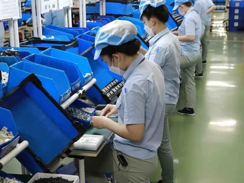 Hơn 57.000 doanh nghiệp thành lập mới sau 3 tháng: Kinh tế khởi sắc nhưng áp lực giải thể cũng tăng mạnh