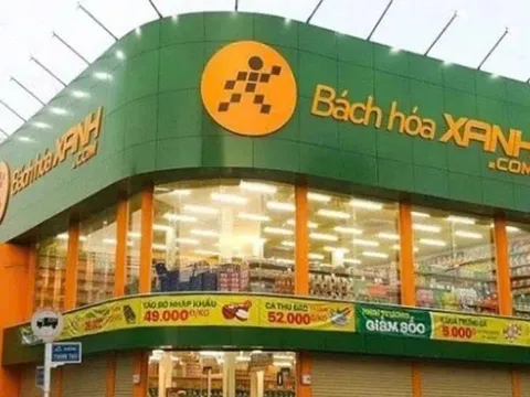 Thế Giới Di Động báo lãi hơn 2.700 tỷ quý I: Lợi nhuận tăng 78%, động lực đến từ điện máy và Bách Hóa Xanh “lên form”