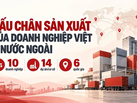VinFast, THACO, Vinamilk và loạt ông lớn Việt mang hàng tỷ USD ra nước ngoài xây nhà máy, phát triển vùng nguyên liệu
