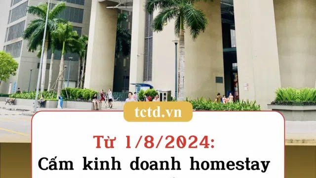 Từ 1/8/2024: Cấm kinh doanh homestay lưu trú ngắn ngày trong chung cư